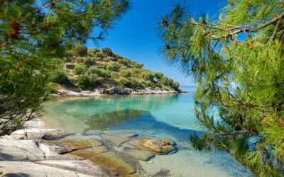 Is Halkidiki a good place for holiday?